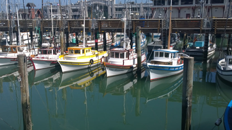 Barca di legno colorate dell'embarcadero
