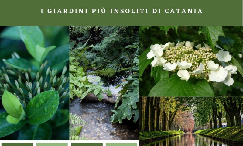 I giardini più insoliti di Catania