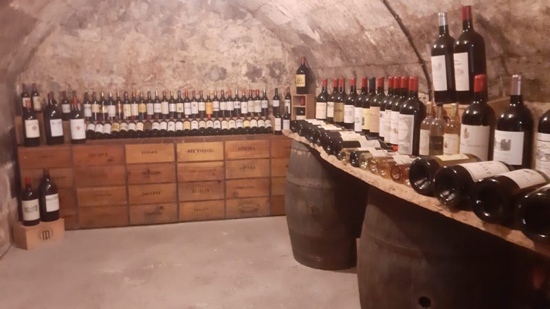 Il museo del vino e del commercio di Bordeauxriio did